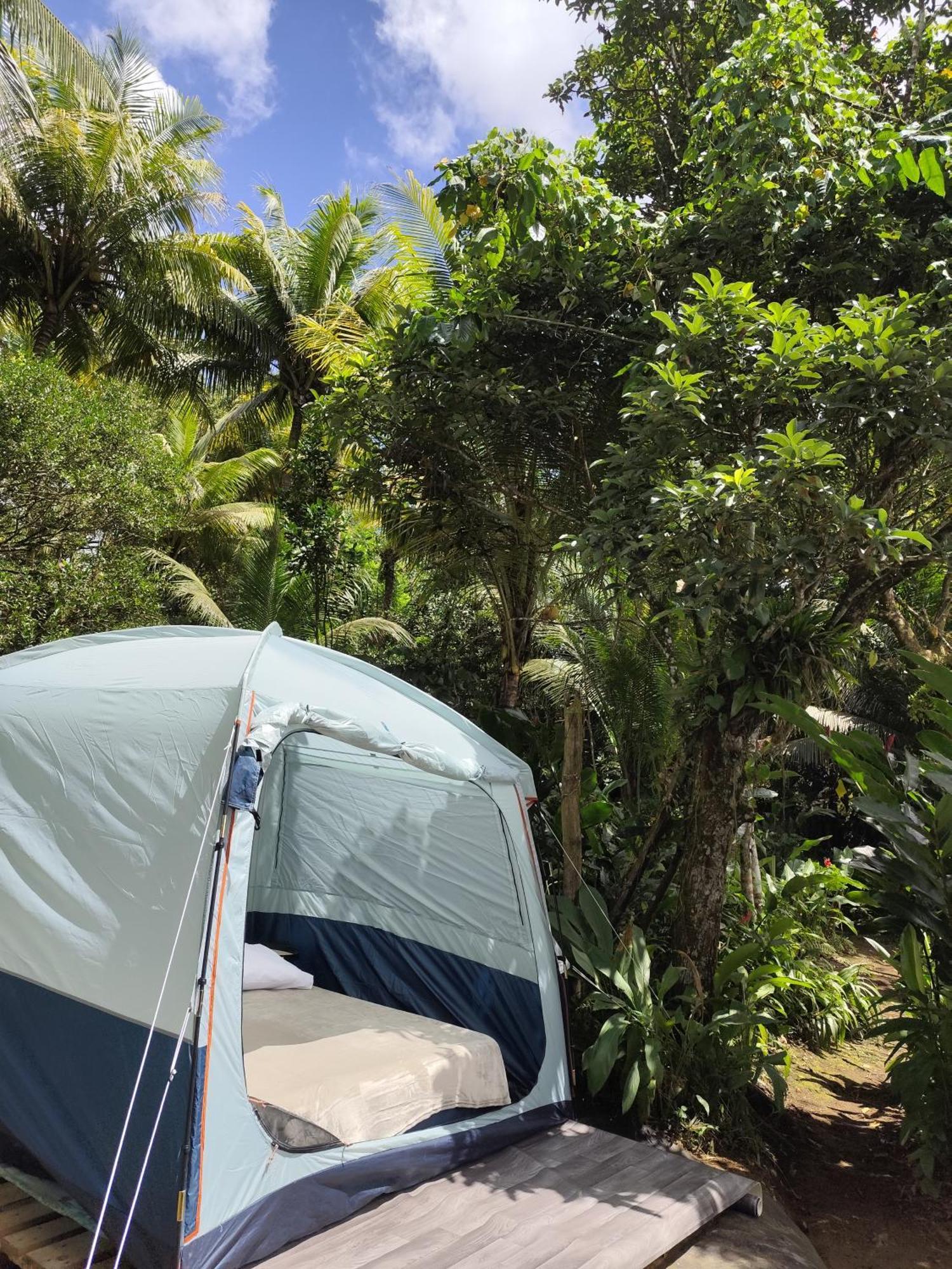 Camping A La Ferme Gros-Morne Kültér fotó
