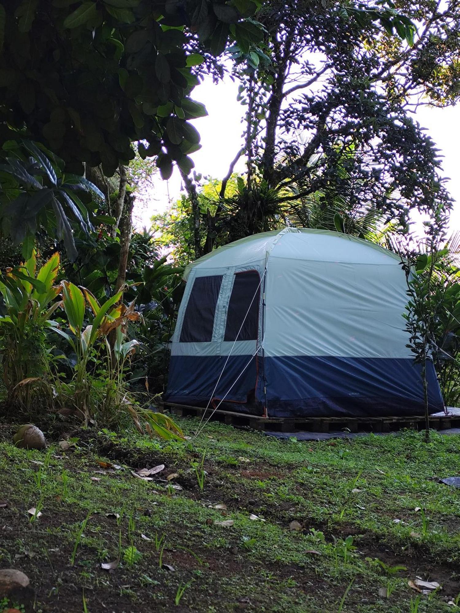 Camping A La Ferme Gros-Morne Kültér fotó