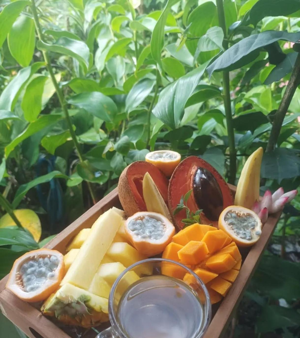 Camping A La Ferme Gros-Morne Kültér fotó
